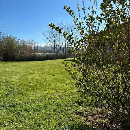 Le Village 아파트호텔 사르자나